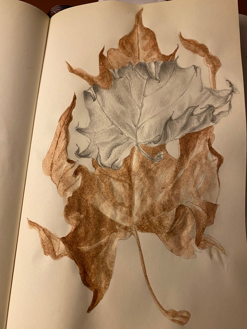 Alcune mie opere extra Domestika 7