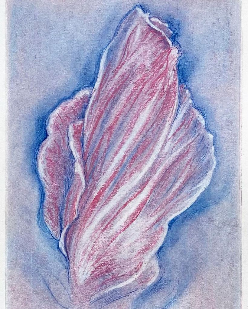 Sperimento con i gessetti