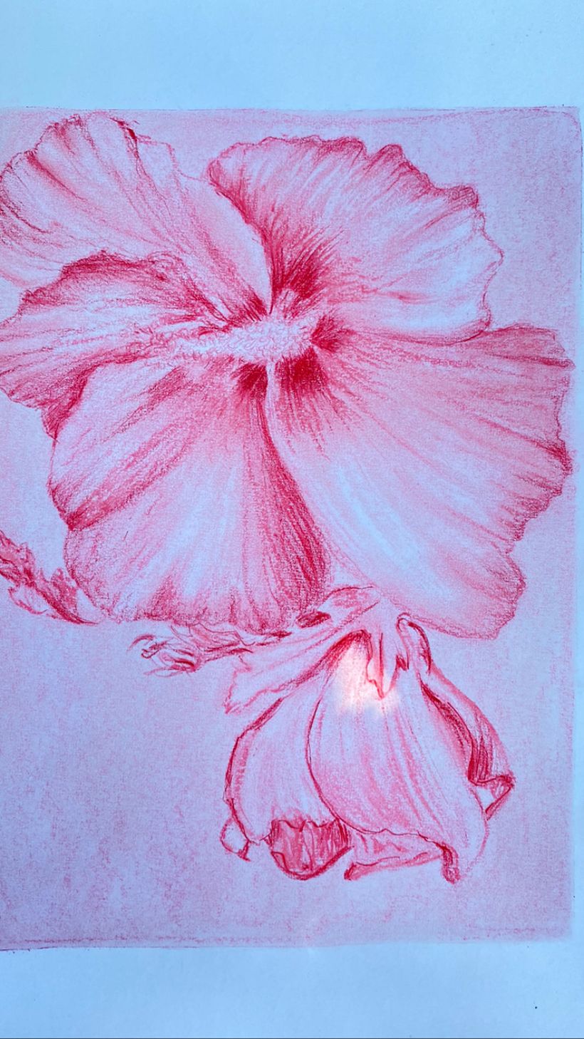 Adoro raffigurare i fiori