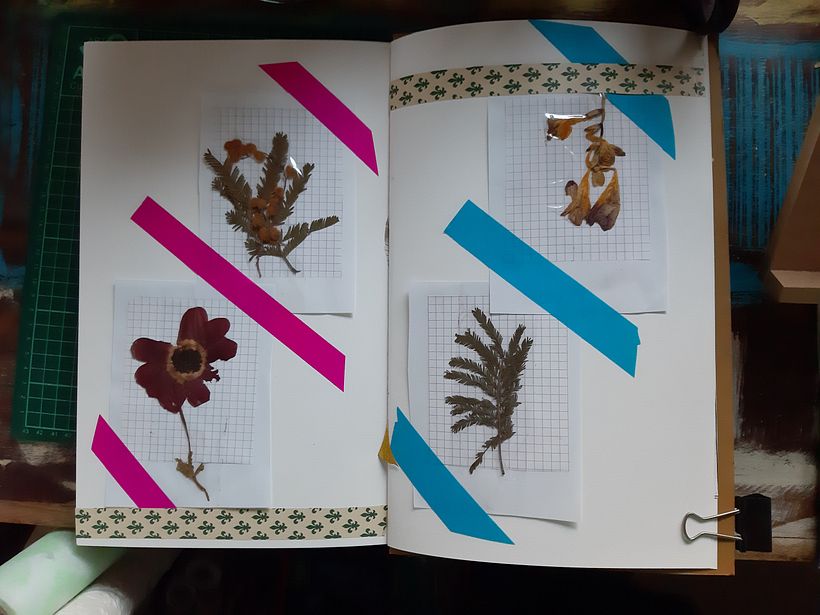 Final project_A personal journey_Collect materials