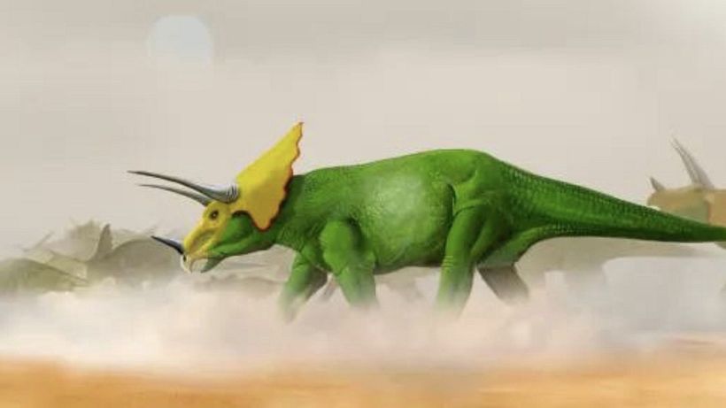 Final image example