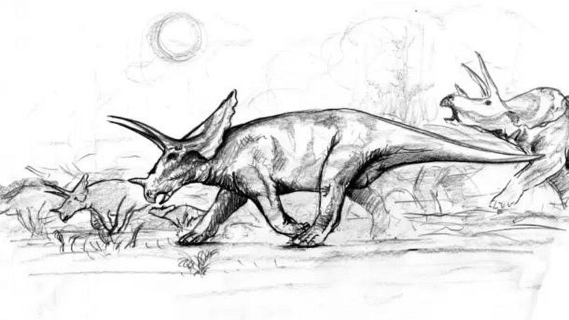 Sketch example