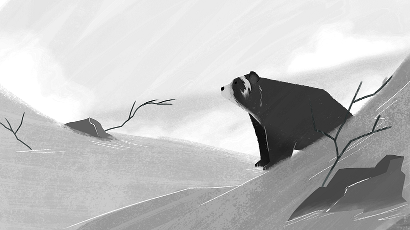 Animación Páramo 7