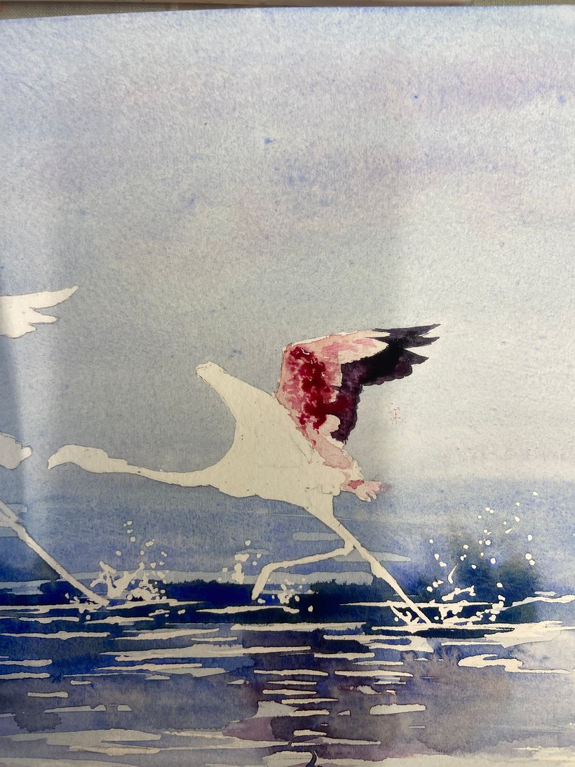 Starting light to dark, working on dry paper. Letting colours bleed were needed to create merges and soft edges . 
