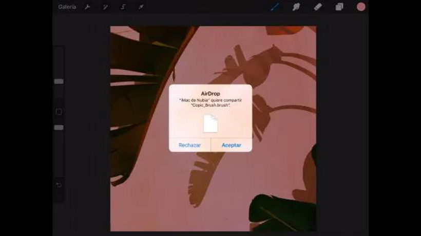 This is the notice that appears when you import something using AirDrop
