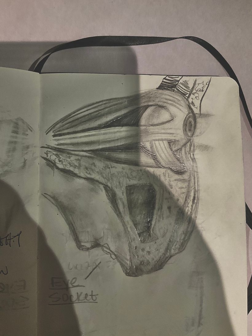 My project for course: Daily Sketching for Creative Inspiration 2