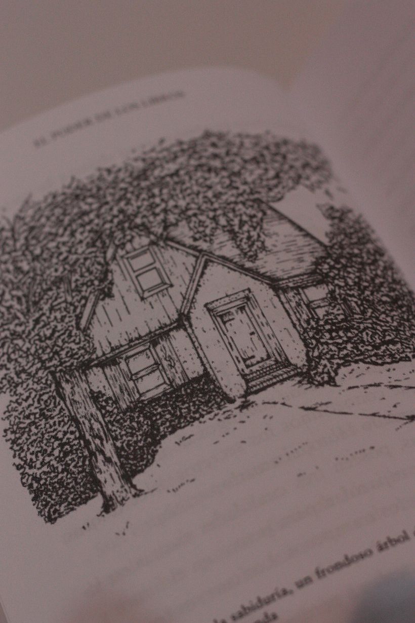 Ilustración del libro ''El Poder De Los Libros'' 6