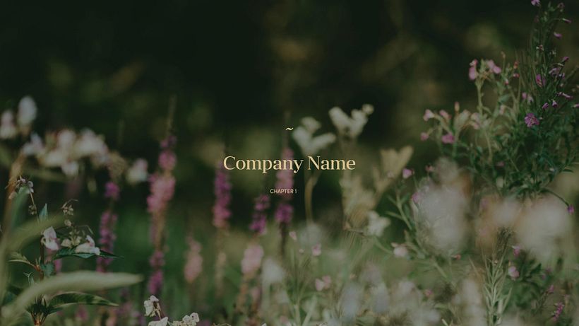 Project for course 'Presentation Design: Create a Professional Template' 1