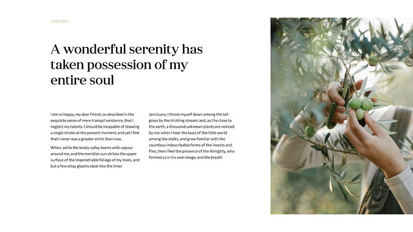 Project for course 'Presentation Design: Create a Professional Template' 4