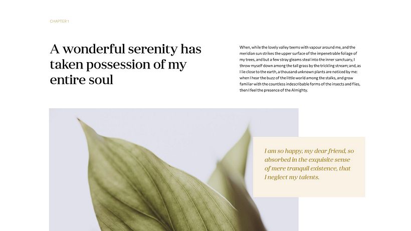 Project for course 'Presentation Design: Create a Professional Template' 5