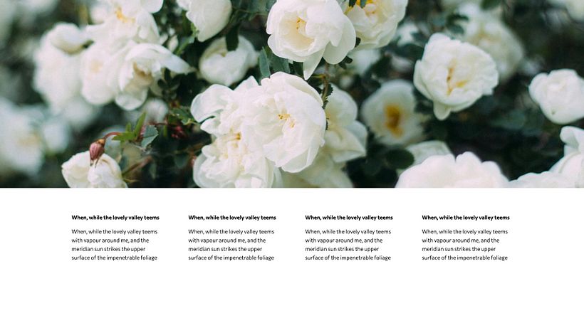 Project for course 'Presentation Design: Create a Professional Template' 8