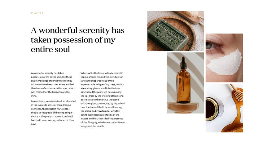 Project for course 'Presentation Design: Create a Professional Template' 12