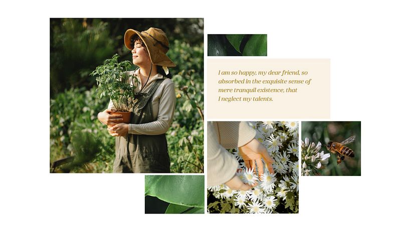 Project for course 'Presentation Design: Create a Professional Template' 13