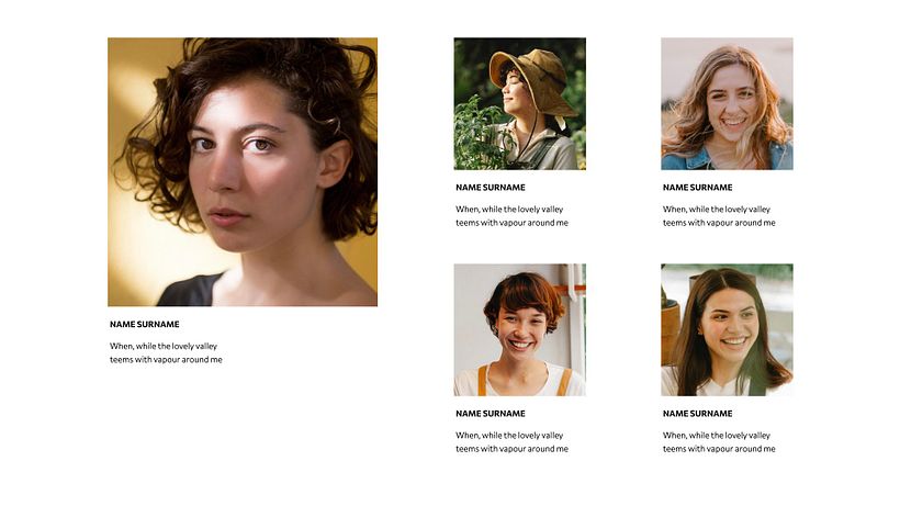 Project for course 'Presentation Design: Create a Professional Template' 14