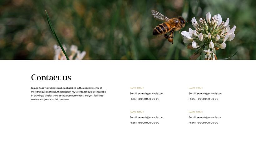 Project for course 'Presentation Design: Create a Professional Template' 15