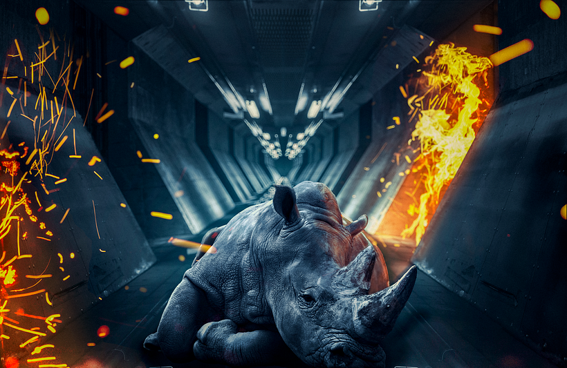 The last Rhino 1