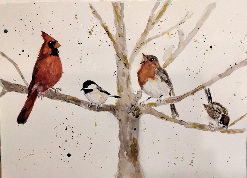 The birds out my window