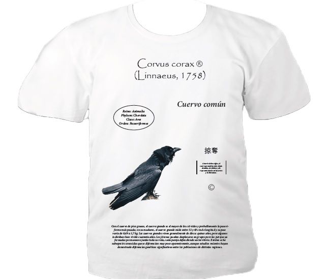 Diseño de camisetas tipográficas 1