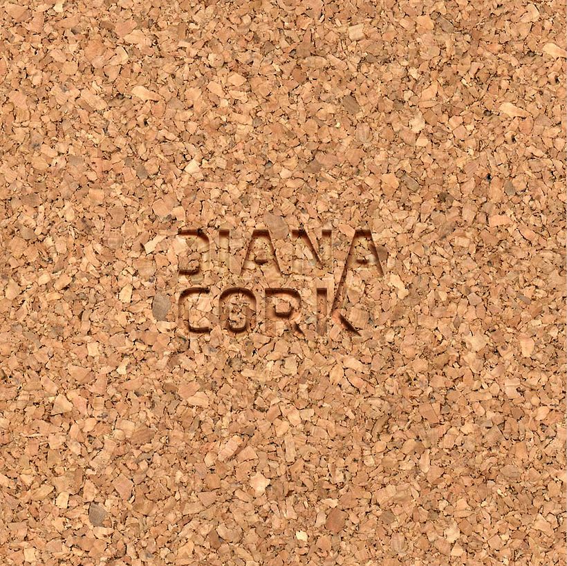 Mi proyecto del curso: Renderizado de producto fotorrealista con KeyShot 1