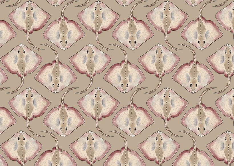 Thornback ray