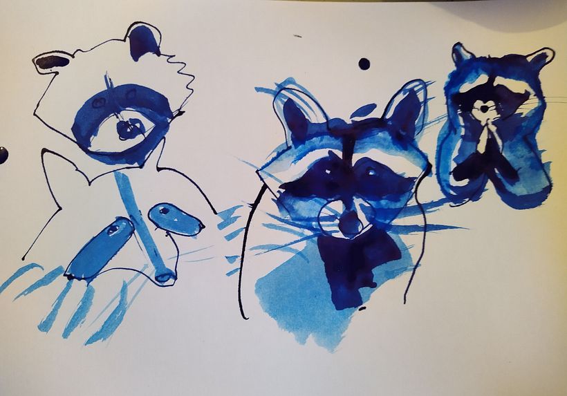 Pesukarhu Raccoon
