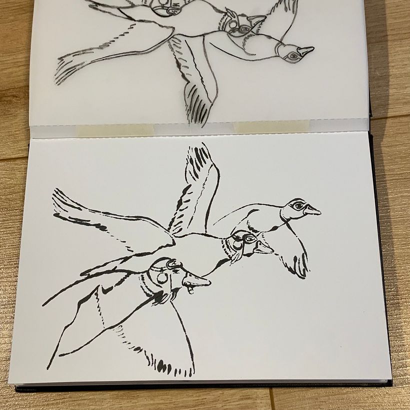 My project for course: Creative Drawing Techniques for Beginners 9