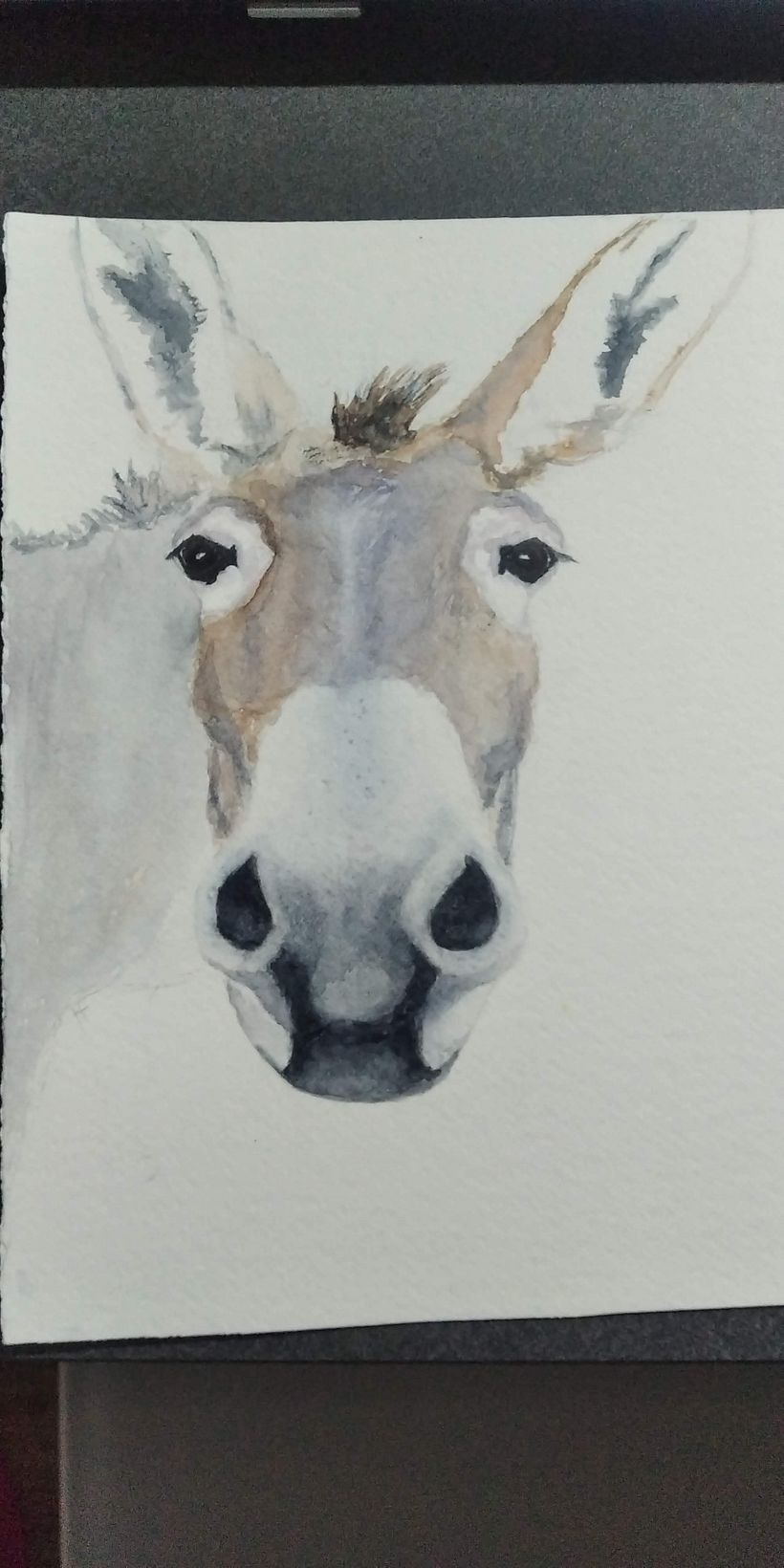 step 4