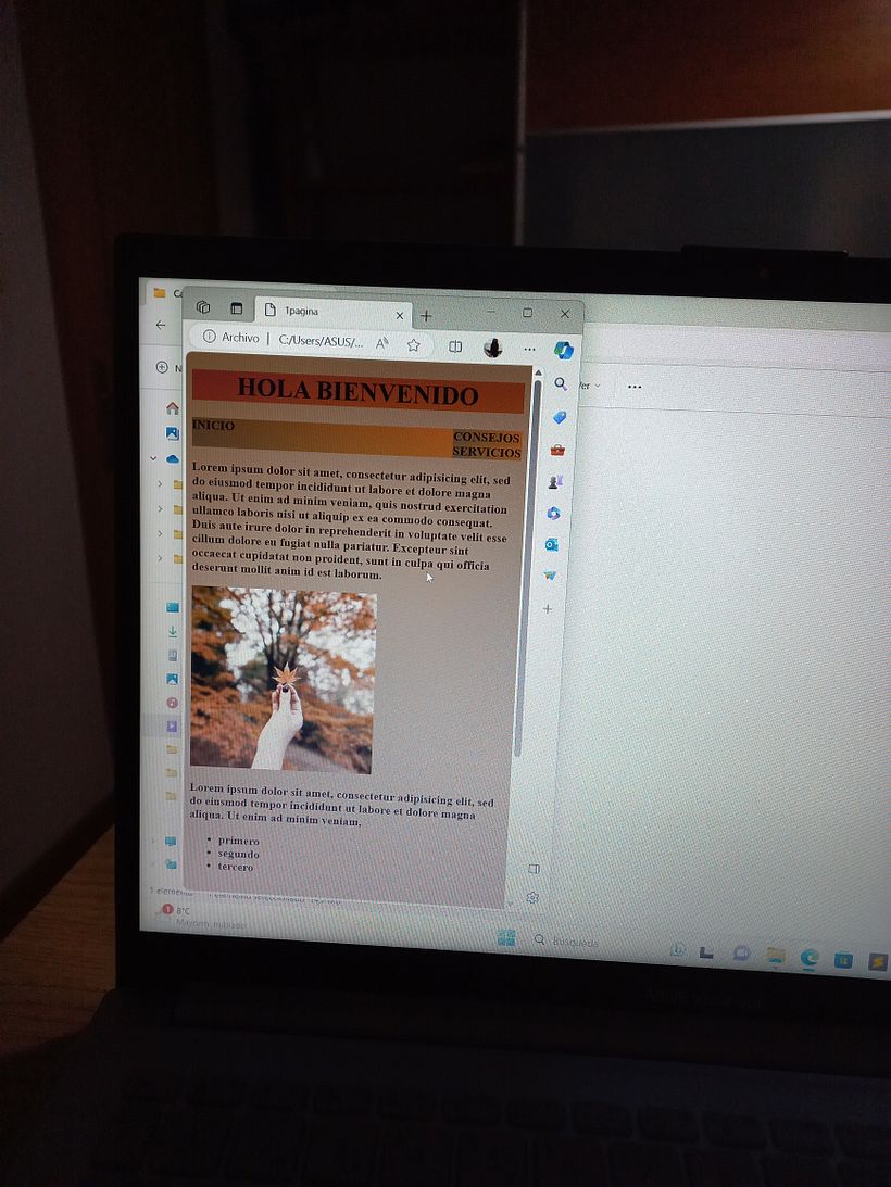 Mi proyecto del curso: Técnicas de desarrollo web con HTML5 y CSS3 2