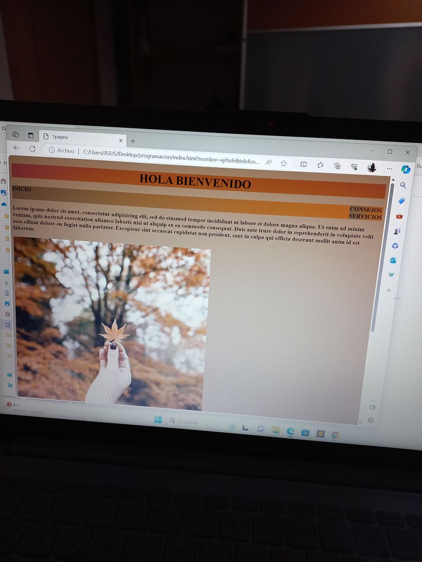 Mi proyecto del curso: Técnicas de desarrollo web con HTML5 y CSS3 3