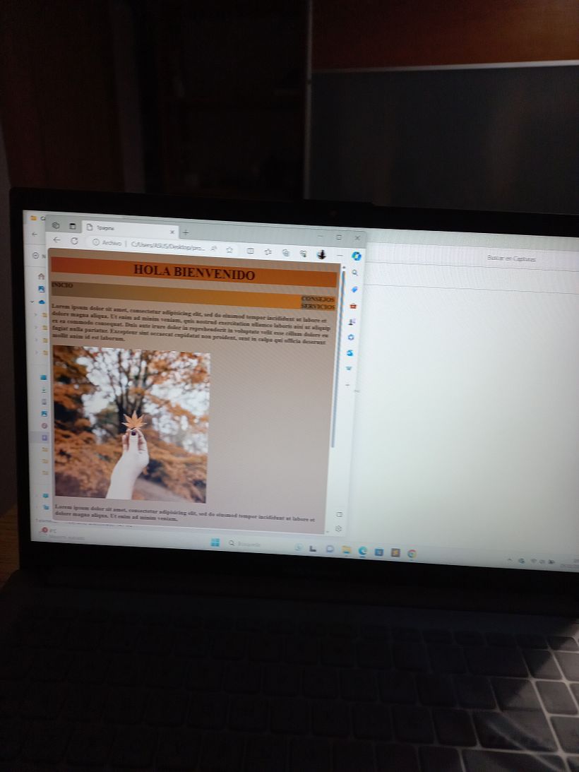 Mi proyecto del curso: Técnicas de desarrollo web con HTML5 y CSS3 4