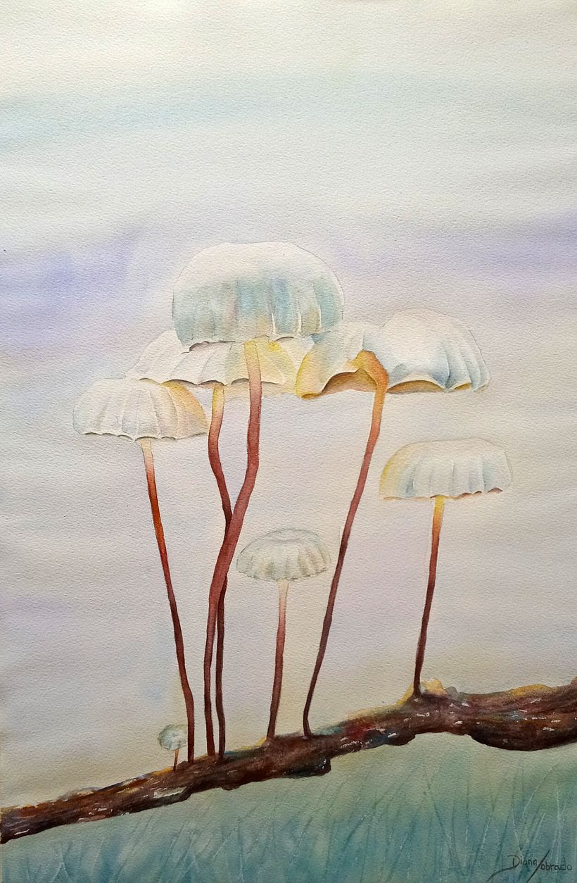 Acuarela. Trabajo final