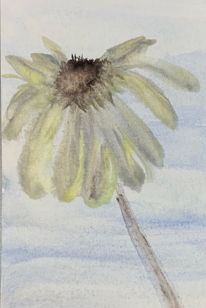 My project for course: Creative Watercolor Sketching for Beginners 16