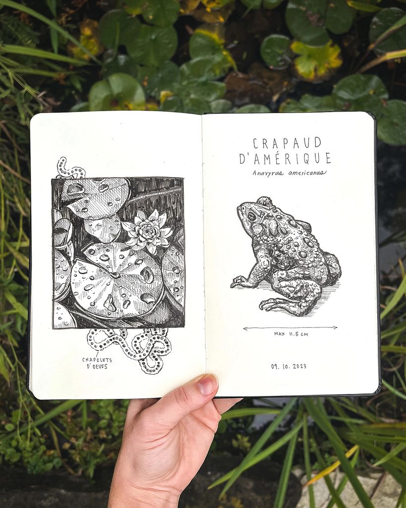 Top 5: Los mejores proyectos del mes de noviembre 3