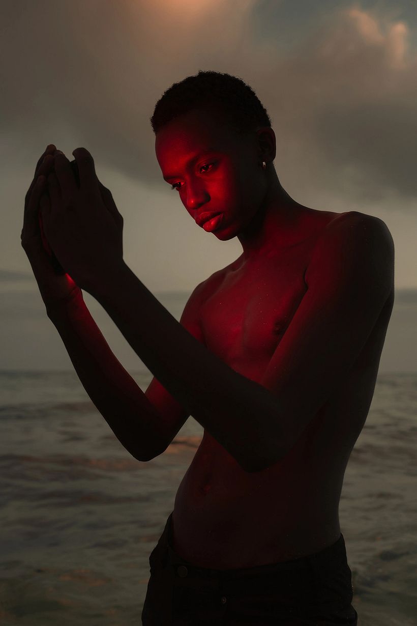 Top 5: Los mejores proyectos del mes de noviembre 9