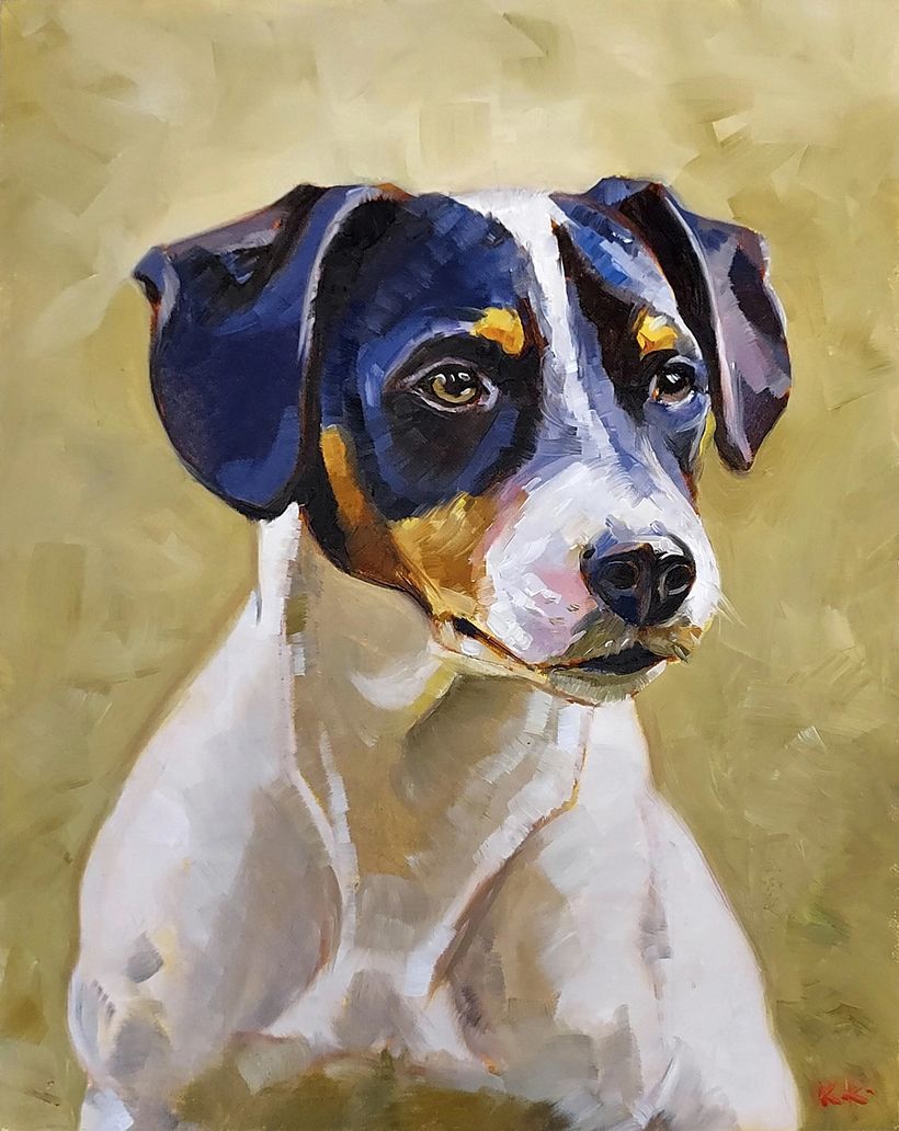 Top 5: Los mejores proyectos del mes de noviembre 12