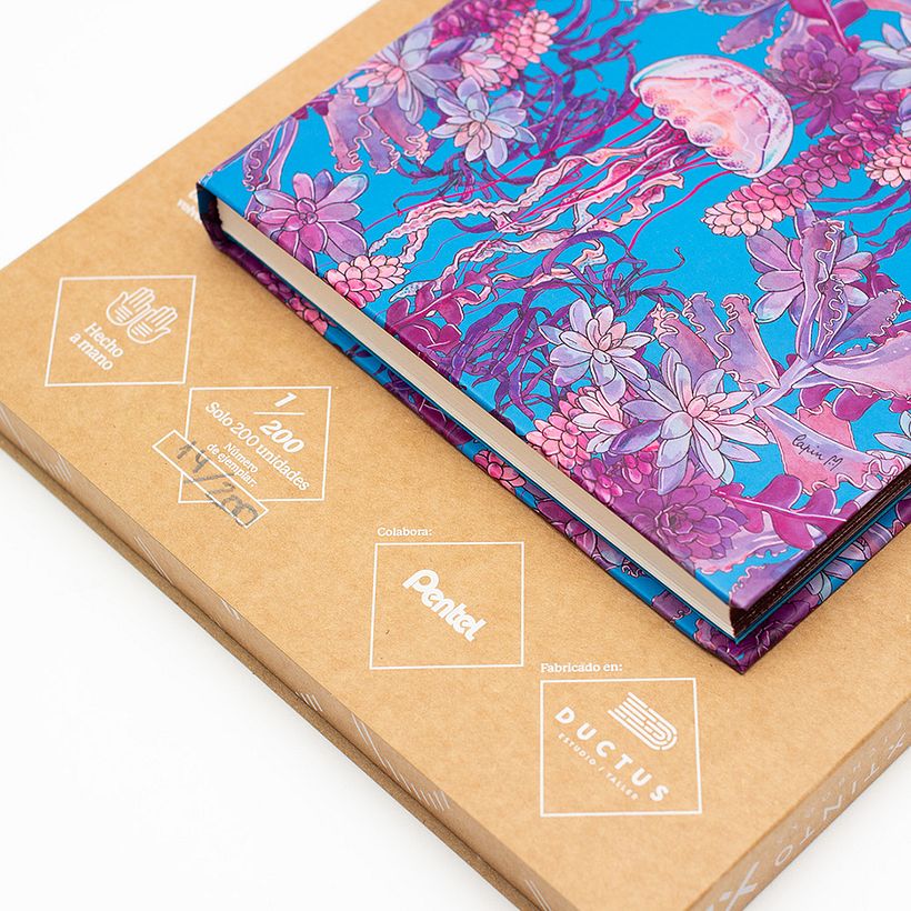Limited Edition of 200 units