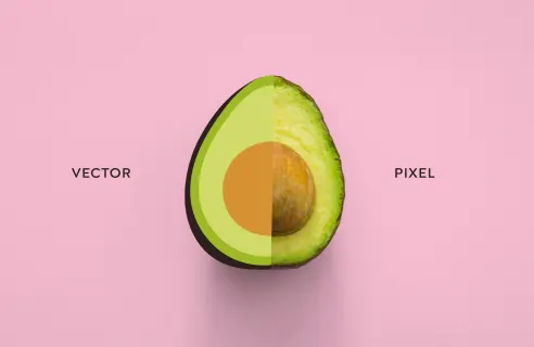 Adobe Illustrator tutorial: how to vectorize an image 4