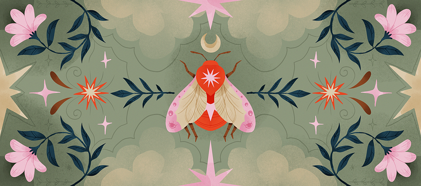 Fardaus - Branding & Illustration 1