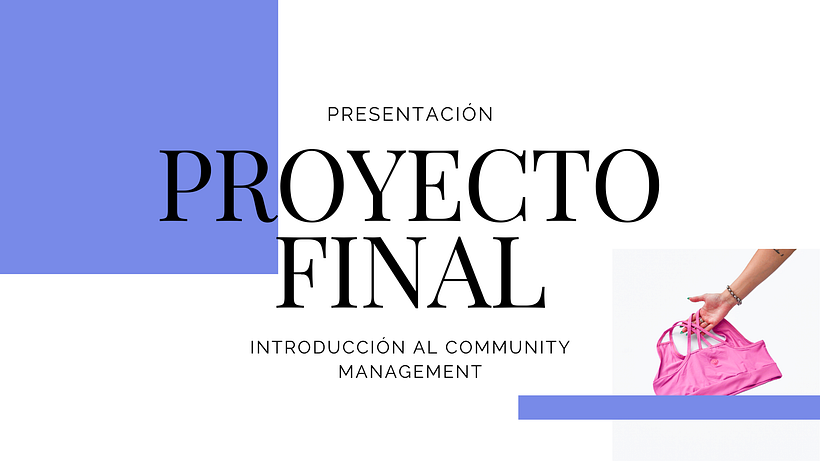 Mi proyecto del curso: Introducción al community management 2