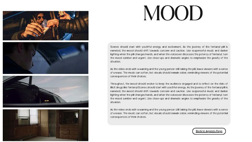 My project for course: Professional Pitch Development for Commercials 7