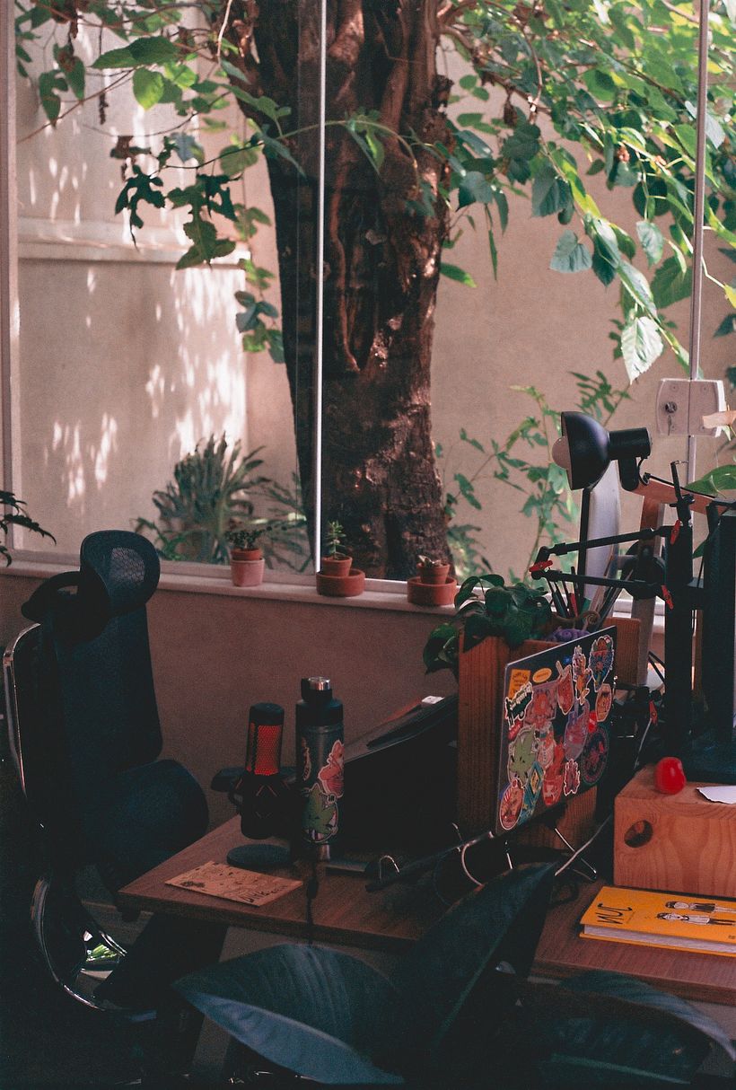 Meu projeto do curso: Introdução à fotografia analógica 9