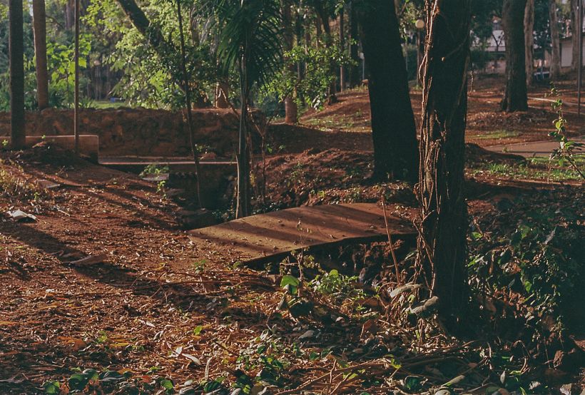 Meu projeto do curso: Introdução à fotografia analógica 12