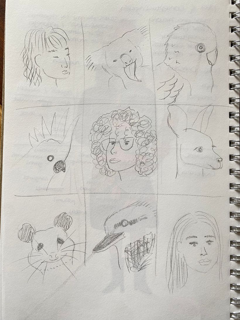 Sketches