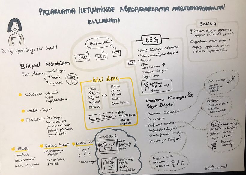 My project for course: Science PR 3
