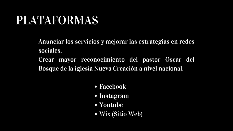 Mi proyecto del curso: Desarrollo de un plan de medios digitales 3