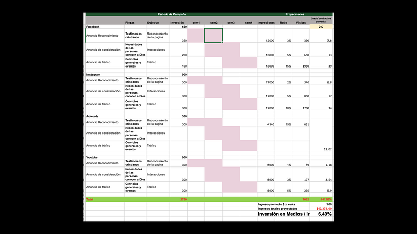 Mi proyecto del curso: Desarrollo de un plan de medios digitales 4