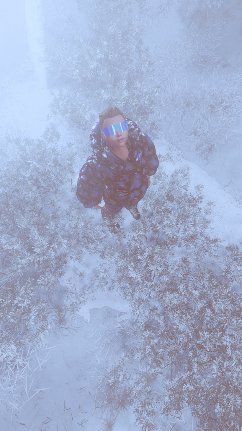 Winter Solstice (3D) 2