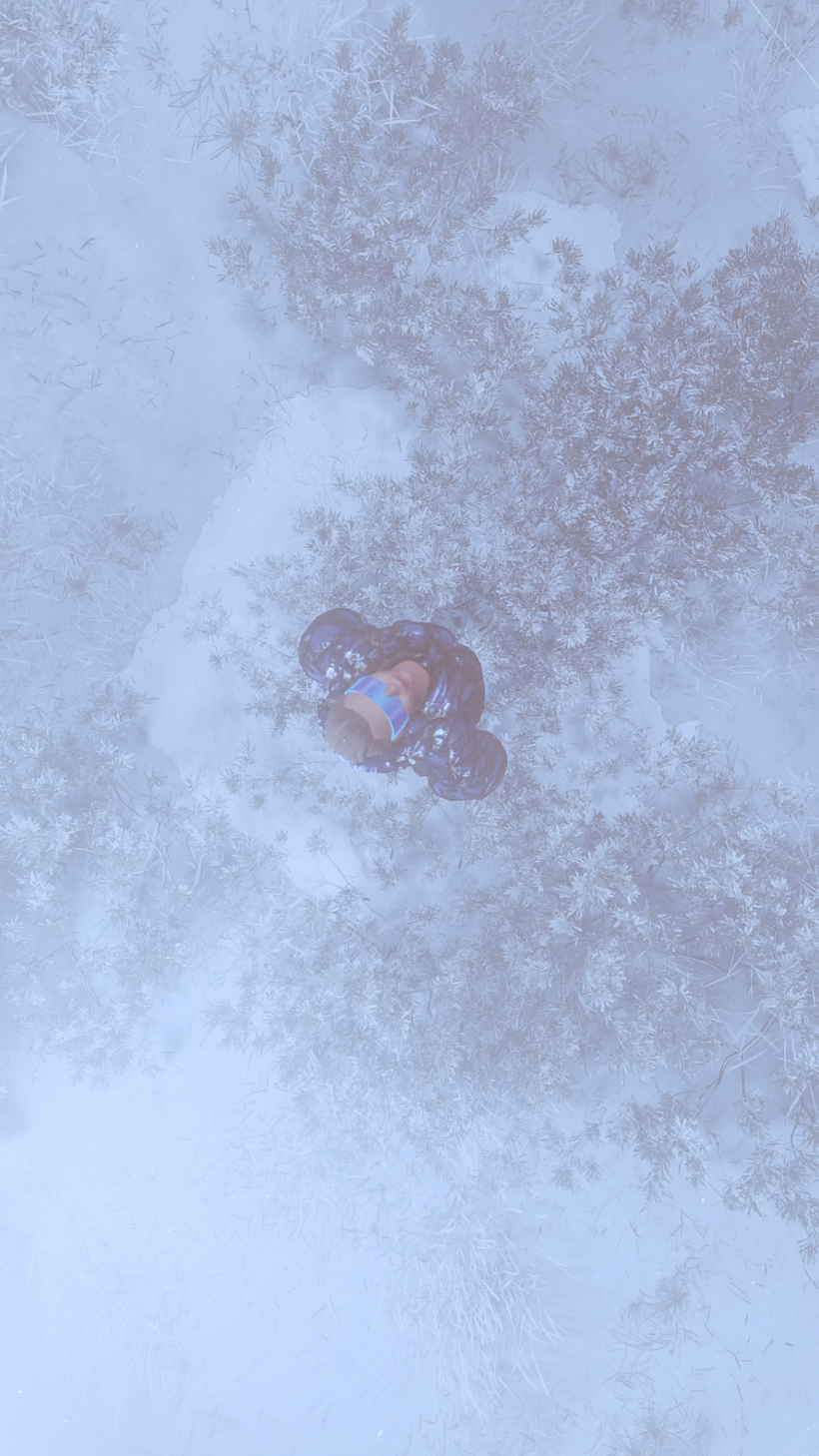 Winter Solstice (3D) 3