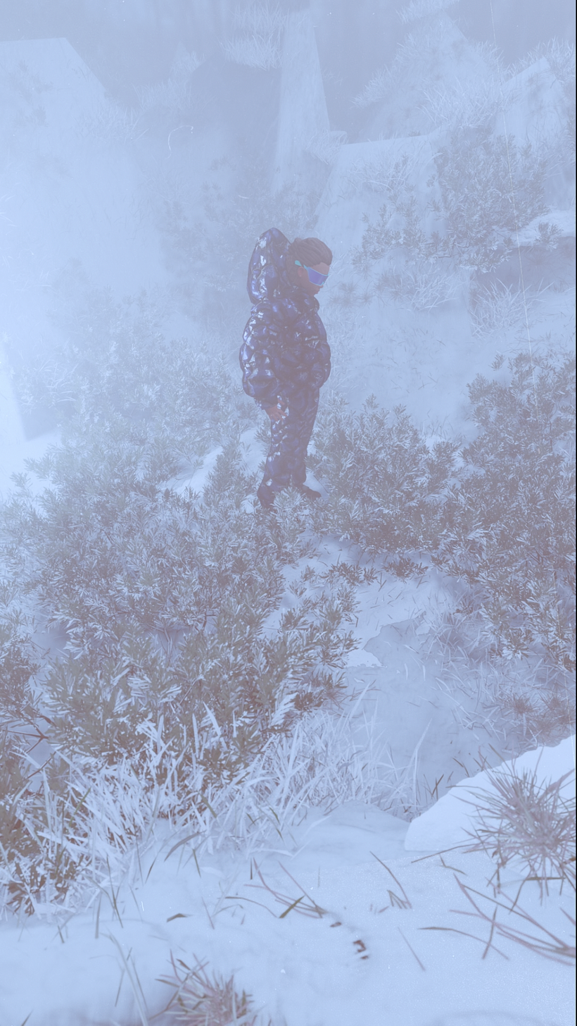 Winter Solstice (3D) 4