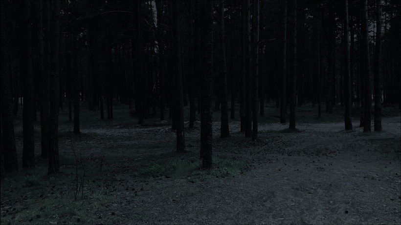 Russia. Leningradskaya oblast. Day for Night.